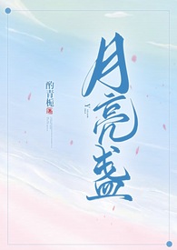 月亮盏小说在线阅读